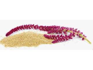 Amaranth
