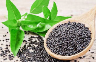 Basil Seeds