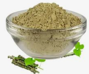 Giloy Tulsi Powder