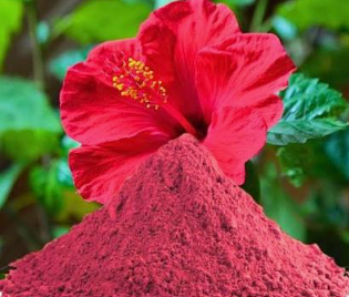 Hibiscus Powder