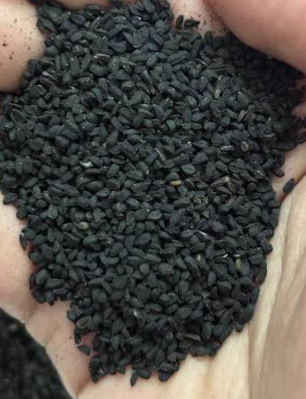 Kalonji Seeds