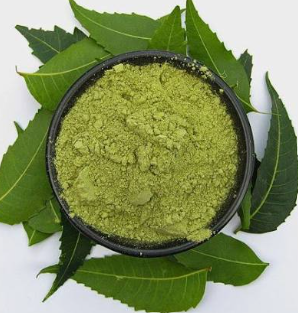 Neem Leaves Powder