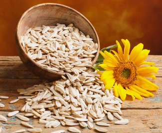 Sunflower Seeds