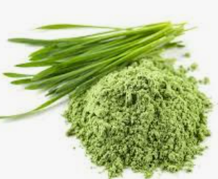 Wheat Grass Powder